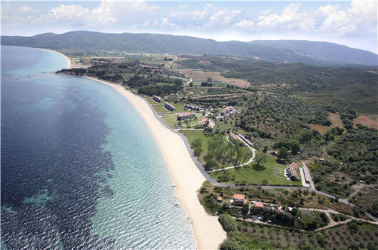 1596522293137959.jpg 55.jpg